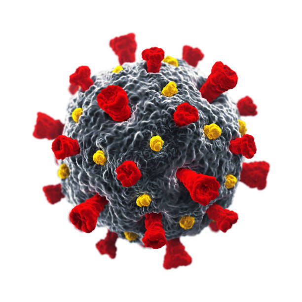 essay on coronavirus - cdc hep b vaccine recommendations
